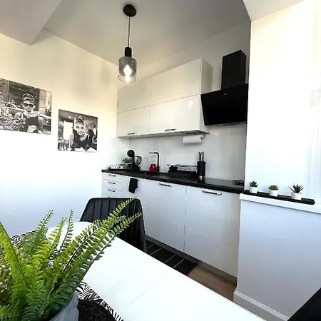 Daire Sky View - Luxury - Sanador Victoriei Bükreş